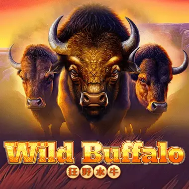 Wild Buffalo